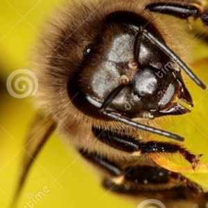 Meet your Posher, Chad